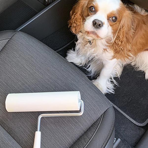 Mattoteippiharja 10 m