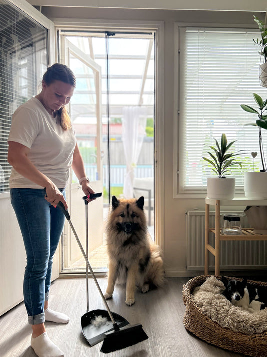 5 helppoa vinkkiä koiran omistajalle