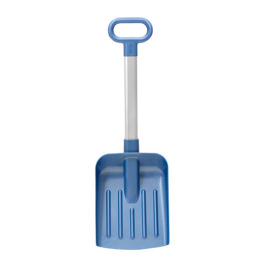 Kungs autoilijan lumilapio