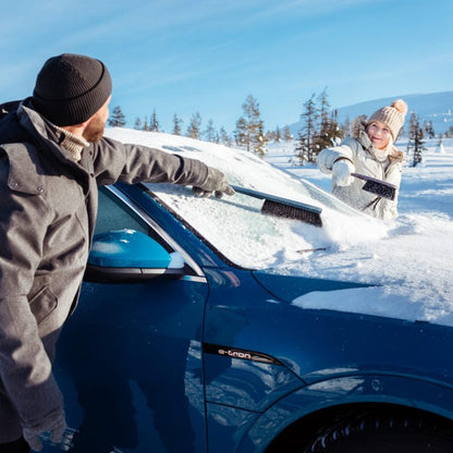 Kungs Max-is lumiharja jääraapalla