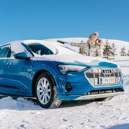 Kungs Max-is lumiharja jääraapalla